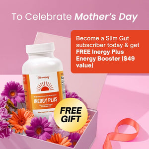 Slim Gut Bundle