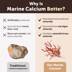 Marine Plant Calcium with Vitamin D3 + K2