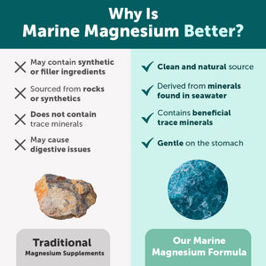 Marine Magnesium + Vitamin B6