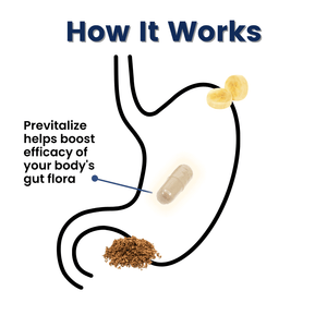 Prévitaliser | Meilleur super prébiotique naturel pour la perte de poids 